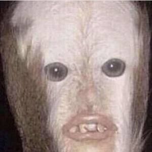 Meet your Posher, Alonzo